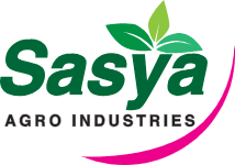 Sasya